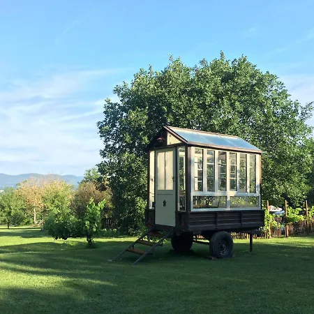 Agriturismo Poggio Salvi Lantgård Sovicille