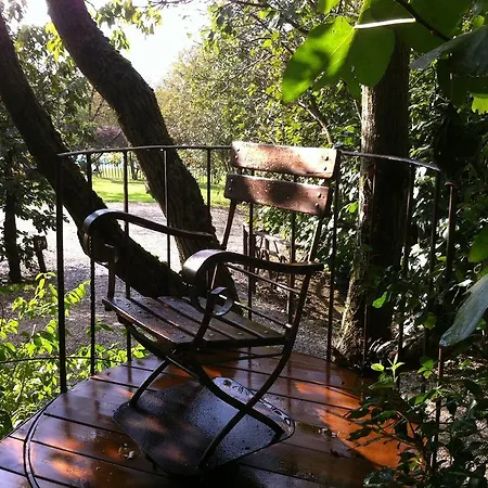Agriturismo Poggio Salvi Lantgård *